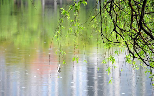 雨中的守护者 —— 治多珍珠棉的应用实践